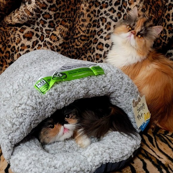 Pet Bed Dog Or Cat.. Super Warm... New w/ Tag!